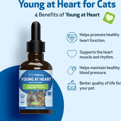 Young at Heart Bacon Flavored Liquid Heart Supplement for Cats, 2-fl oz bottle