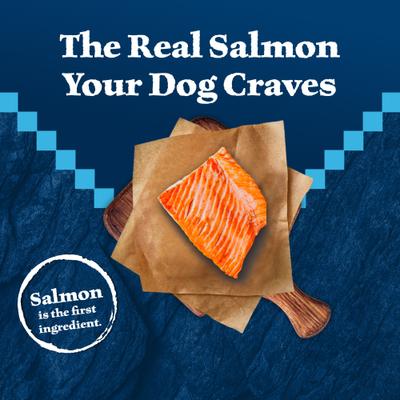 Alimento seco para perros Wilderness Senior con receta de salmón de alto contenido proteico, bolsa de 24 lb