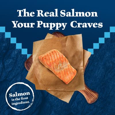 Wilderness Puppy High-Protein Salmon Recipe Natural Dry Dog Food, 24-lb bag