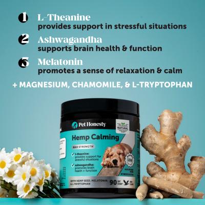 Hemp Calming Max-Strength Duck Flavored Melatonin, Ashwaganda & L-Theanine Chews Calming & Anxiety Supplement for Dogs, 270 count