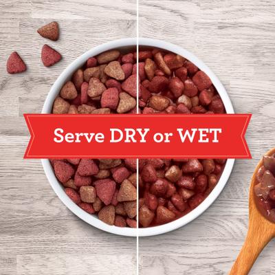 Beefy Classic Dry Dog Food, 70-lb bundle