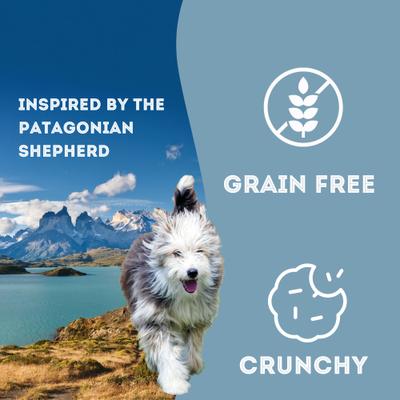 Indomitable Patagonia Grain-Free Puppy Crunchy Dog Treats, 14.1-oz box