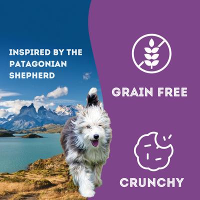 Indomitable Patagonia Grain-Free Smoky Crunchy Dog Treats, 14.1-oz box