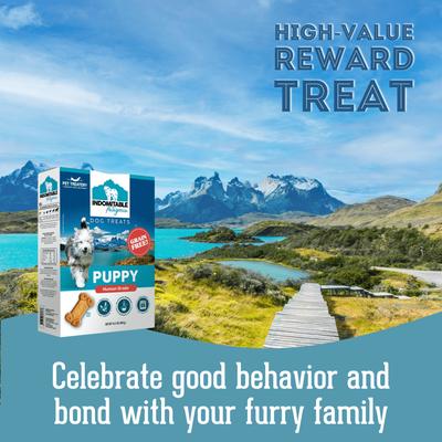Indomitable Patagonia Grain-Free Puppy Crunchy Dog Treats, 14.1-oz box
