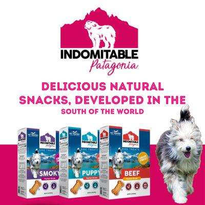 Galletas crujientes ahumadas sin cereales Indomitable Patagonia para perros, caja de 14.1 oz