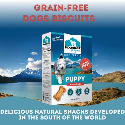 Indomitable Patagonia Grain-Free Puppy Crunchy Dog Treats, 14.1-oz box