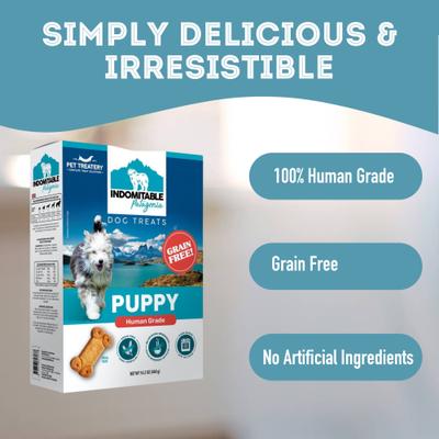 Indomitable Patagonia Grain-Free Puppy Crunchy Dog Treats, 14.1-oz box