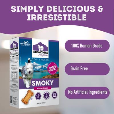Indomitable Patagonia Grain-Free Smoky Crunchy Dog Treats, 14.1-oz box