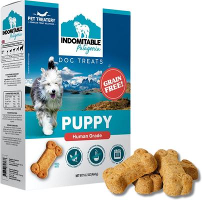 Indomitable Patagonia Grain-Free Puppy Crunchy Dog Treats, 14.1-oz box