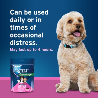 Fast Acting Calming Supplement for Dogs, 60 count