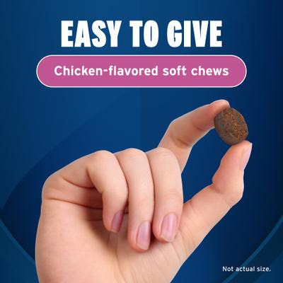 Fast Acting Calming Supplement for Dogs, 60 count