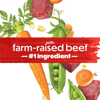 IncrediBites with Farm-Raised Beef, Small Breed Dry Dog Food, 3.5-lb bag