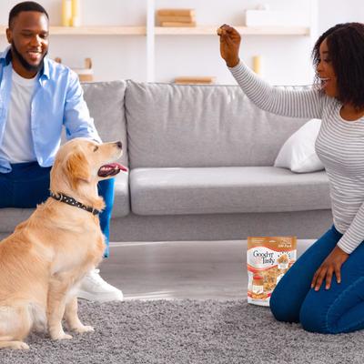 Triple Flavor Mini Churro Style Twists Chicken, Peanut Butter & Pork Gourmet Crunchy Dog Treats, 100 count