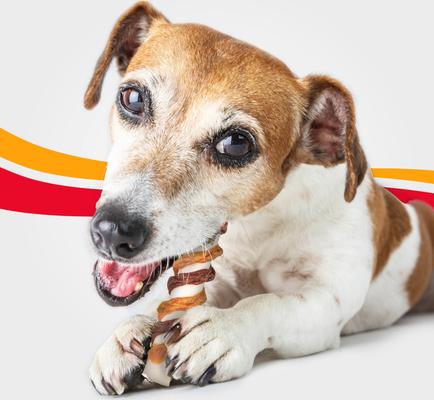 Triple Flavor Chicken, Bacon & Beef Dog Treat Chew Crunch Rolls, 5 count