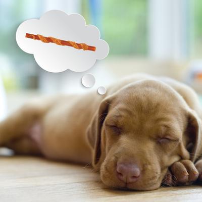 Twists Chicken Dog Chews, 15 count