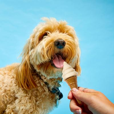 Waffle Cone Vanilla & Peanut Butter Dog Chew Treat, 2 count