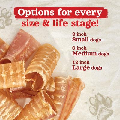 Beef Trachea Dog Chews, 6-in, 20 count