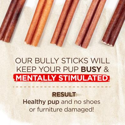 Odor Free 6-inch Bully Stick Dog Chews, 80 count