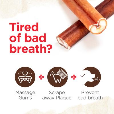 Masticables para perros Bully Stick de 6 pulgadas sin olor, 80 unidades