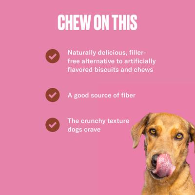 Beef Jerky Dog Treats, 4-oz pouch