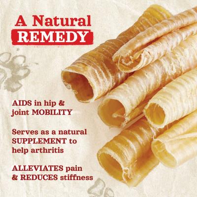 Beef Trachea Dog Chews, 6-in, 20 count