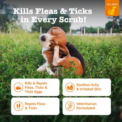 Zesty Paws, Flea and Tick Shampoo Skin and Coat para Perros, con Avena y Aloe. 454 ml.