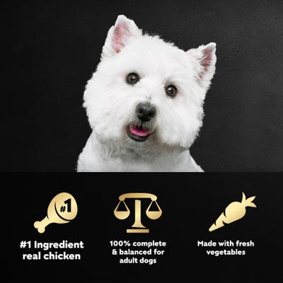 Wholesome Meals Chicken, Carrots, Barley & Green Beans Recipe Wet Dog Food, 17.6-oz pouch