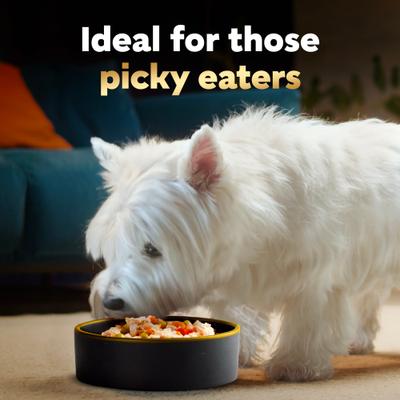 Alimento húmedo para perros Simply Crafted con carne de res, pollo, papas moradas, guisantes y zanahorias, bolsa de 8.82 oz