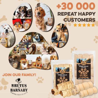 Rawhide-Free Peanut Butter Flavored Beef Cheek Rolls Long Lasting Dog Chews, 5 to 7-inch, 4 count