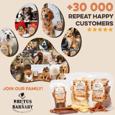 12-Inch Single Ingredient High Protein & Rawhide-Free Bully Sticks Dog Chews, 2 count