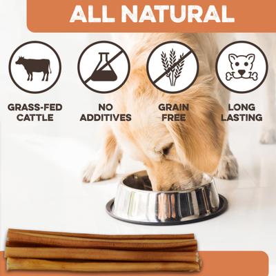 12-Inch Single Ingredient High Protein & Rawhide-Free Bully Sticks Dog Chews, 2 count
