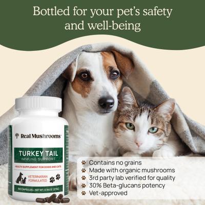 Turkey Tail Capsule Immune Supplement for Dogs & Cats, 90 count