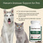 Turkey Tail Capsule Immune Supplement for Dogs & Cats, 90 count