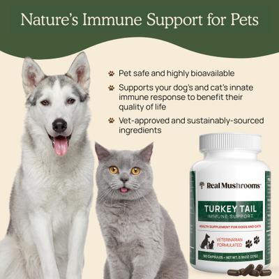 Turkey Tail Capsule Immune Supplement for Dogs & Cats, 90 count
