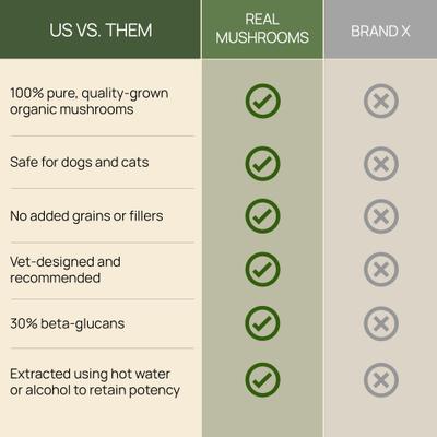 Turkey Tail Capsule Immune Supplement for Dogs & Cats, 90 count