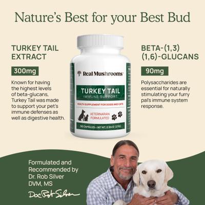 Turkey Tail Capsule Immune Supplement for Dogs & Cats, 90 count