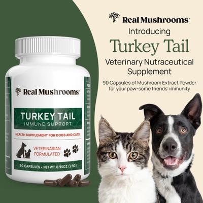 Turkey Tail Capsule Immune Supplement for Dogs & Cats, 90 count