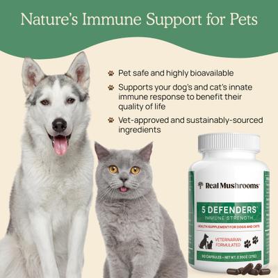 5 Defenders Capsule Immune Supplement for Dogs & Cats, 90 count