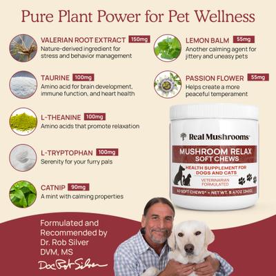 Mushroom Relax Soft Chew Calming Supplement for Dogs & Cats, 60 count