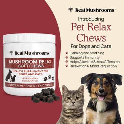 Mushroom Relax Soft Chew Calming Supplement for Dogs & Cats, 60 count