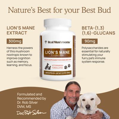 Lion's Mane Capsule Cognitive Supplement for Dogs & Cats, 120 count