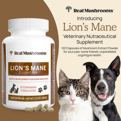Lion's Mane Capsule Cognitive Supplement for Dogs & Cats, 120 count