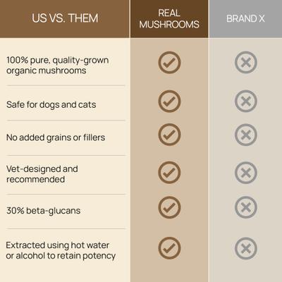 Lion's Mane Capsule Cognitive Supplement for Dogs & Cats, 120 count