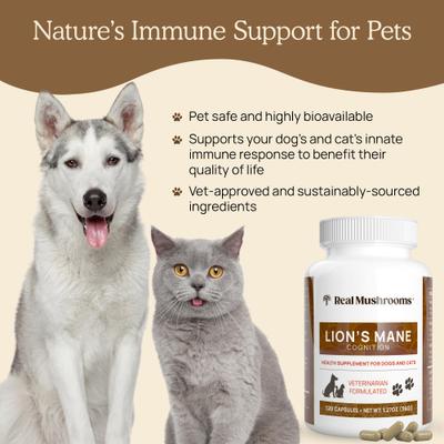 Lion's Mane Capsule Cognitive Supplement for Dogs & Cats, 120 count