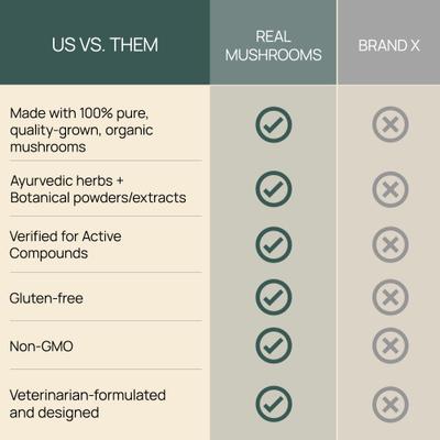 Mushroom Immune Chews Supplement for Dogs & Cats, 60 count