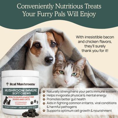 Mushroom Immune Chews Supplement for Dogs & Cats, 60 count