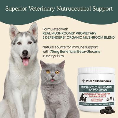 Mushroom Immune Chews Supplement for Dogs & Cats, 60 count