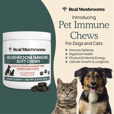 Mushroom Immune Chews Supplement for Dogs & Cats, 60 count