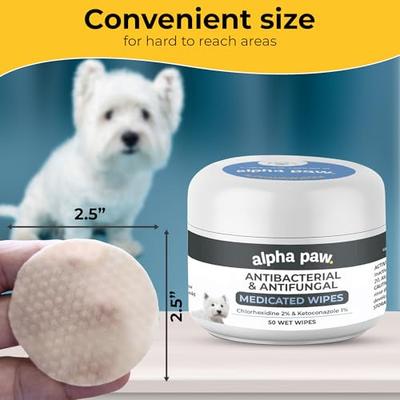 Bundle: Alpha Paw Antibacterial & Antifungal Medicated Shampoo, 16-oz bottle + Antibacterial & Antifungal Medicated Dog & Cat Wipes, 50 count