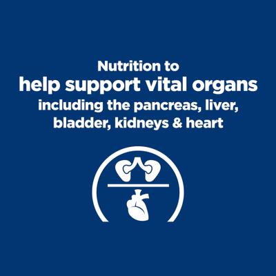 Multi-Organ Support Turkey & Vegetable Stew Wet Dog Food, 12.5-oz can, case of 12